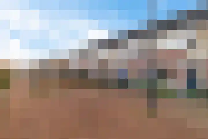 Hondsdraf 57 Swifterbant thumbnail 26