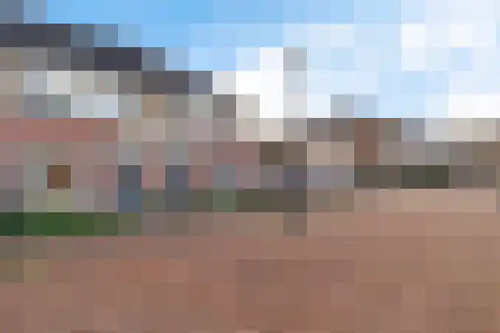 Hondsdraf 57 Swifterbant thumbnail 27