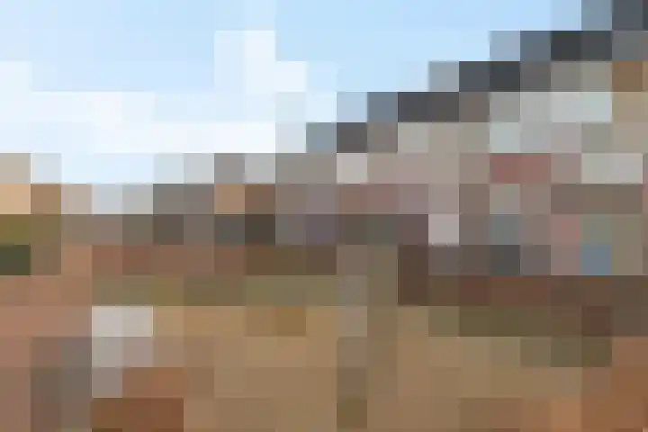Hondsdraf 57 Swifterbant thumbnail 28