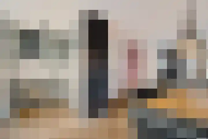 Hondsdraf 57 Swifterbant thumbnail 8