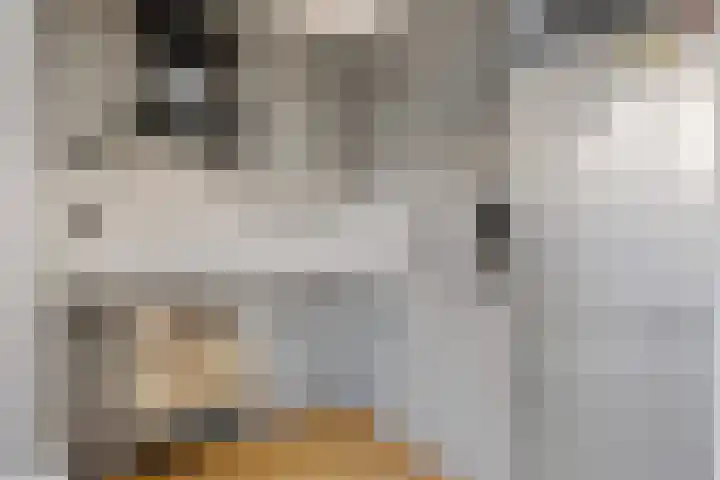 Hondsdraf 57 Swifterbant thumbnail 9