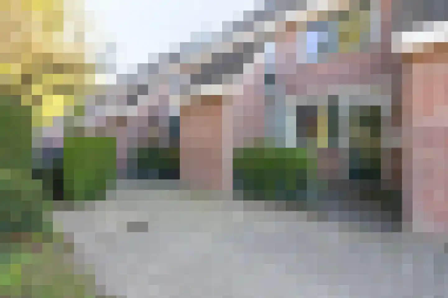 Hondsdraf 58 Zwaag