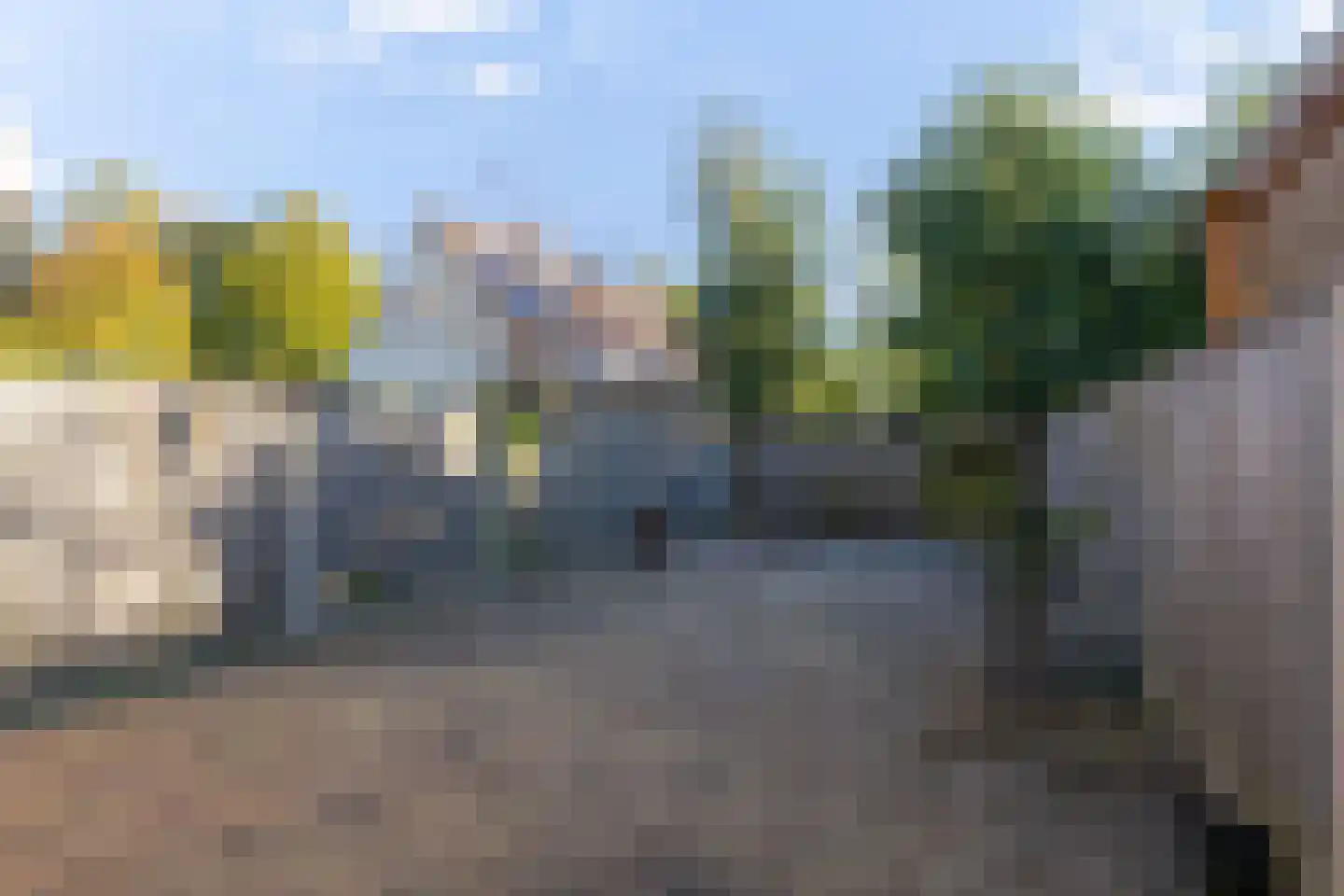 Hondsdraf 58 Zwaag thumbnail 37