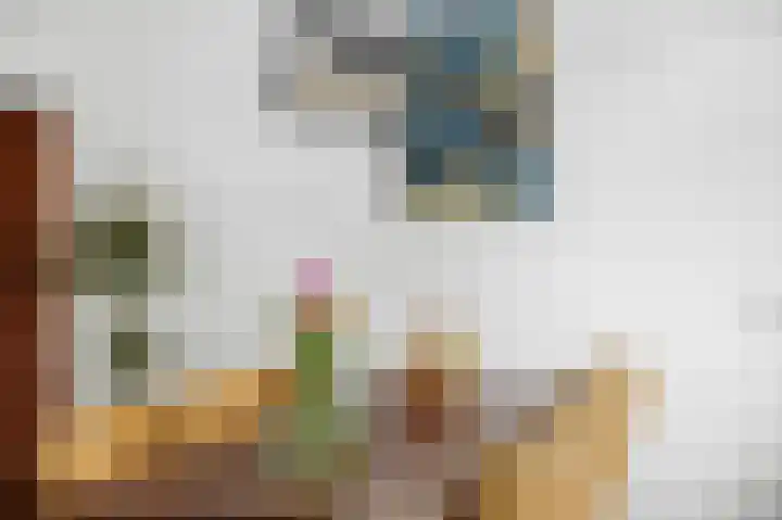 Hondsdraf 6 Deventer thumbnail 10