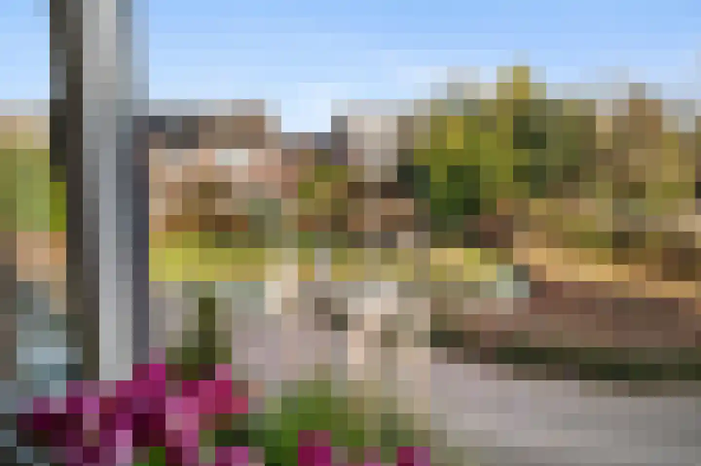 Hondsdraf 6 Deventer thumbnail 21