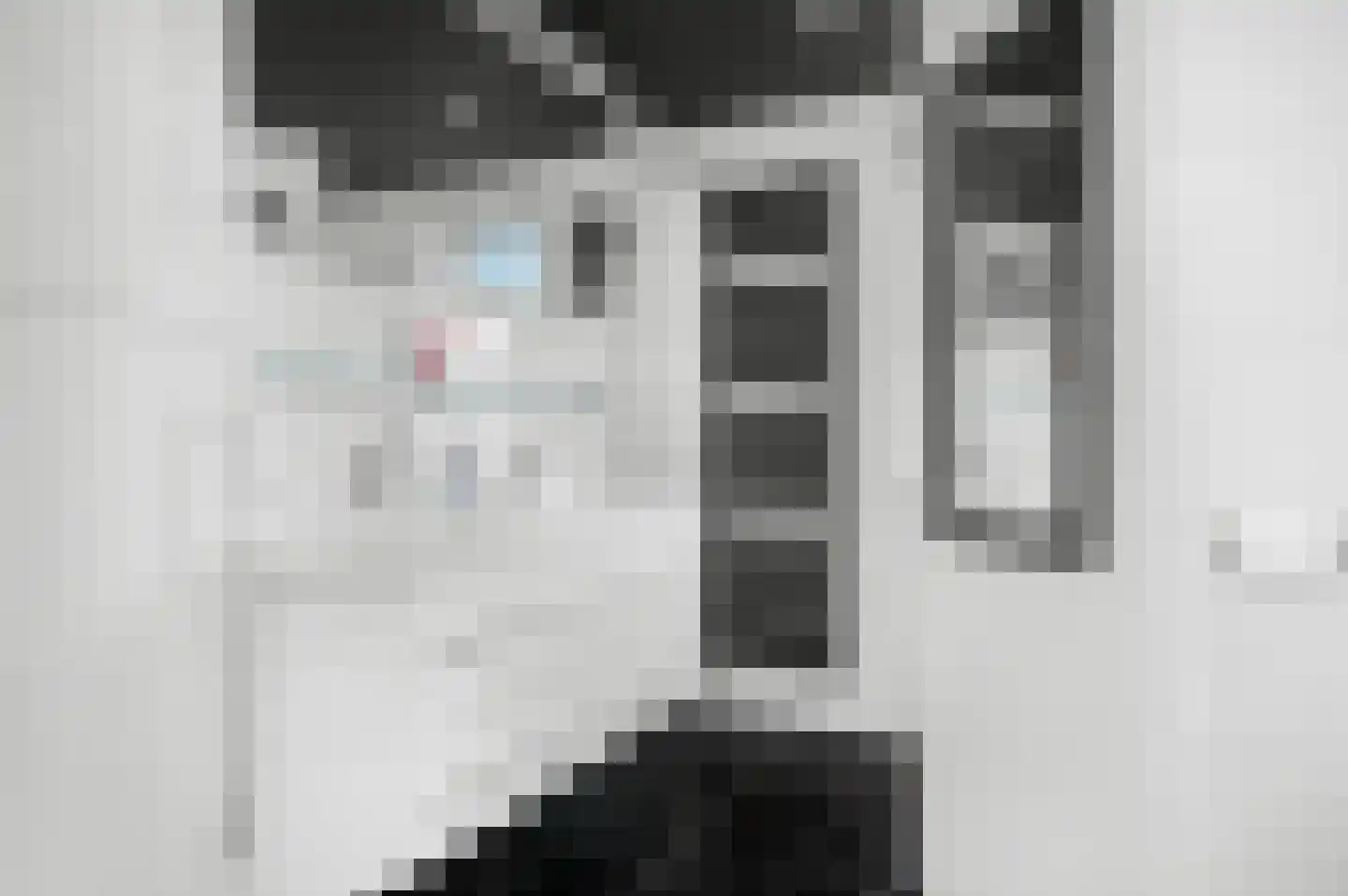 Hondsdraf 6 Deventer thumbnail 23