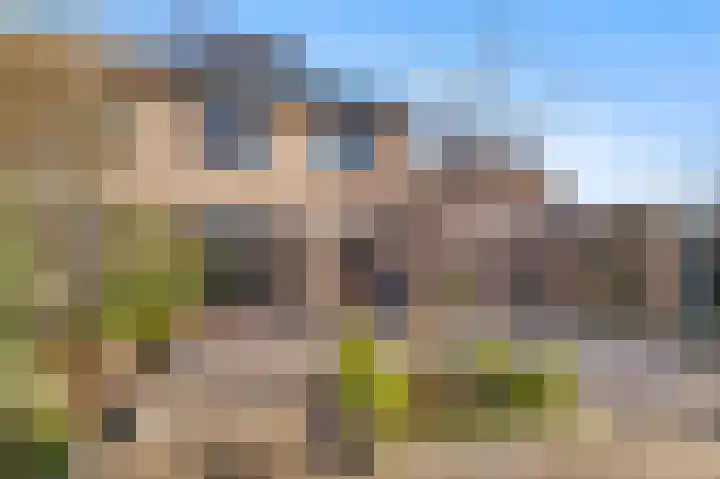 Hondsdraf 6 Deventer thumbnail 29