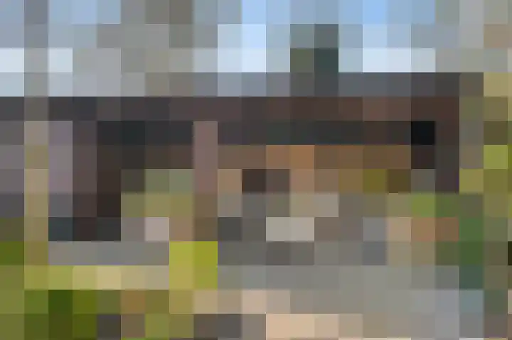Hondsdraf 6 Deventer thumbnail 32
