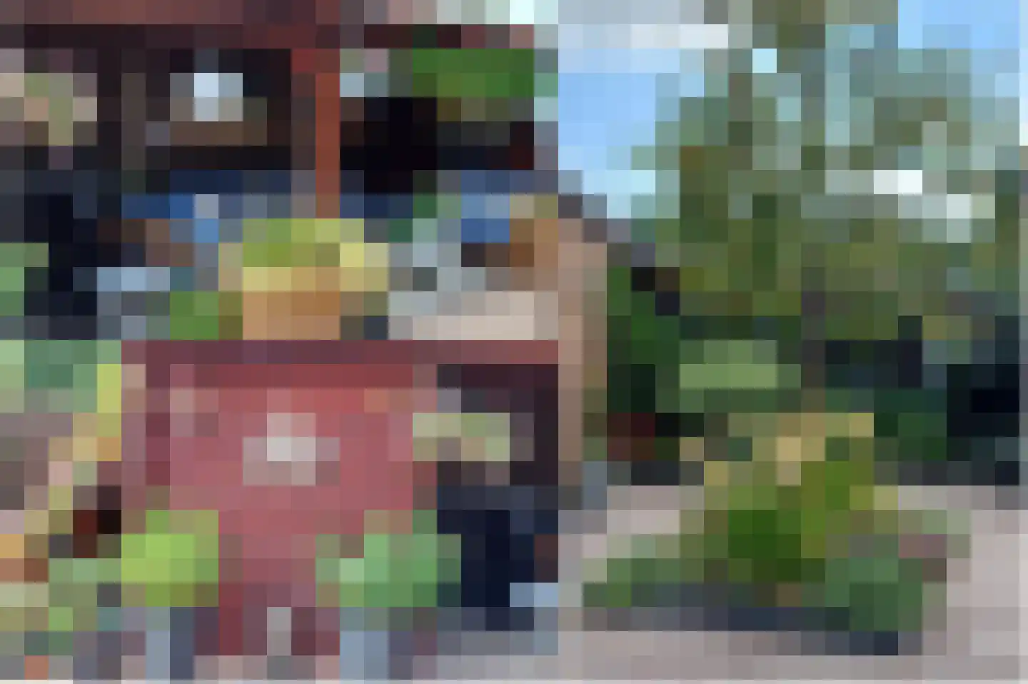 Hondsdraf 6 Deventer thumbnail 35