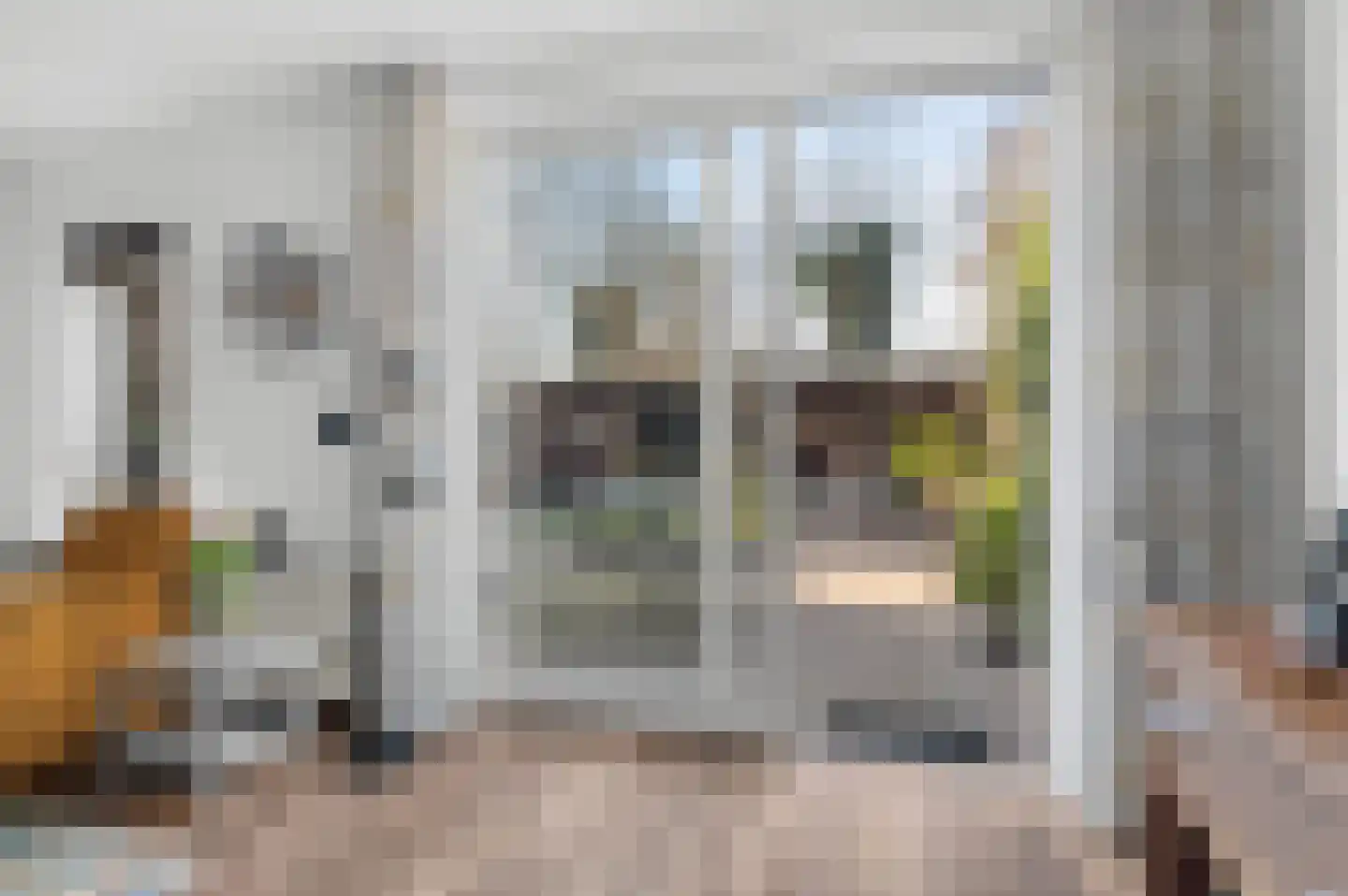 Hondsdraf 6 Deventer thumbnail 5