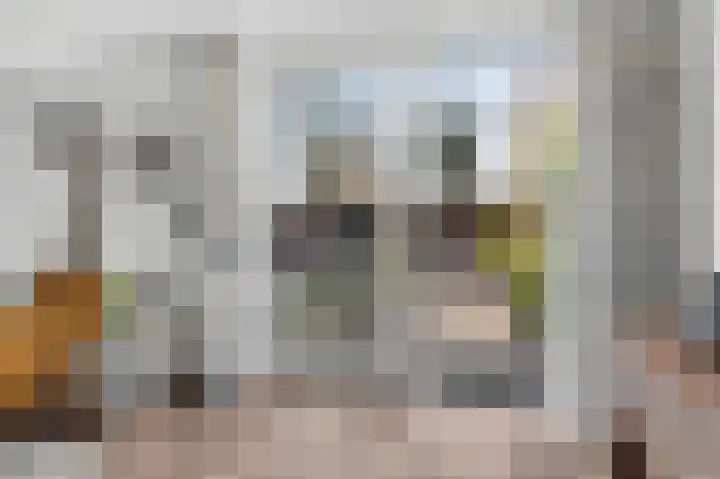 Hondsdraf 6 Deventer thumbnail 5
