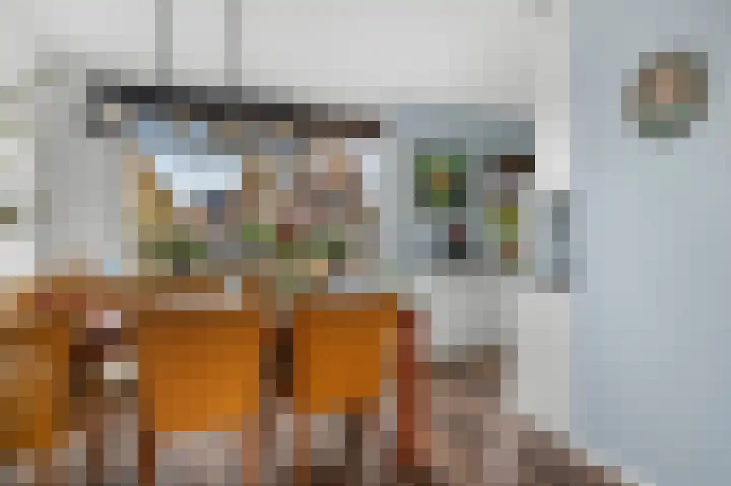 Hondsdraf 6 Deventer thumbnail 7