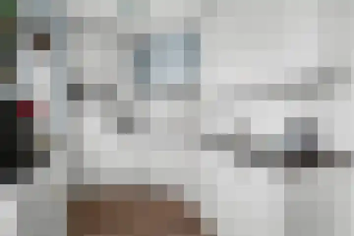 Hondsdraf 6 Deventer thumbnail 8