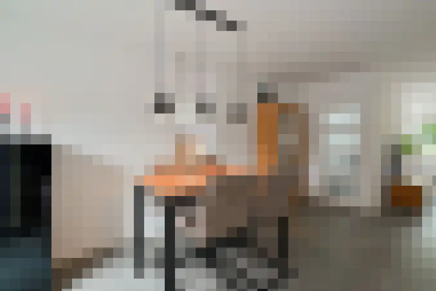 Hondsdraf 6 Zwaag thumbnail 13