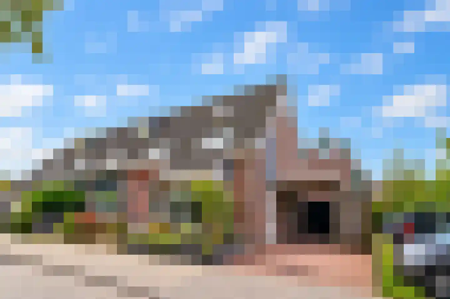Hondsdraf 6 Zwaag foto 2