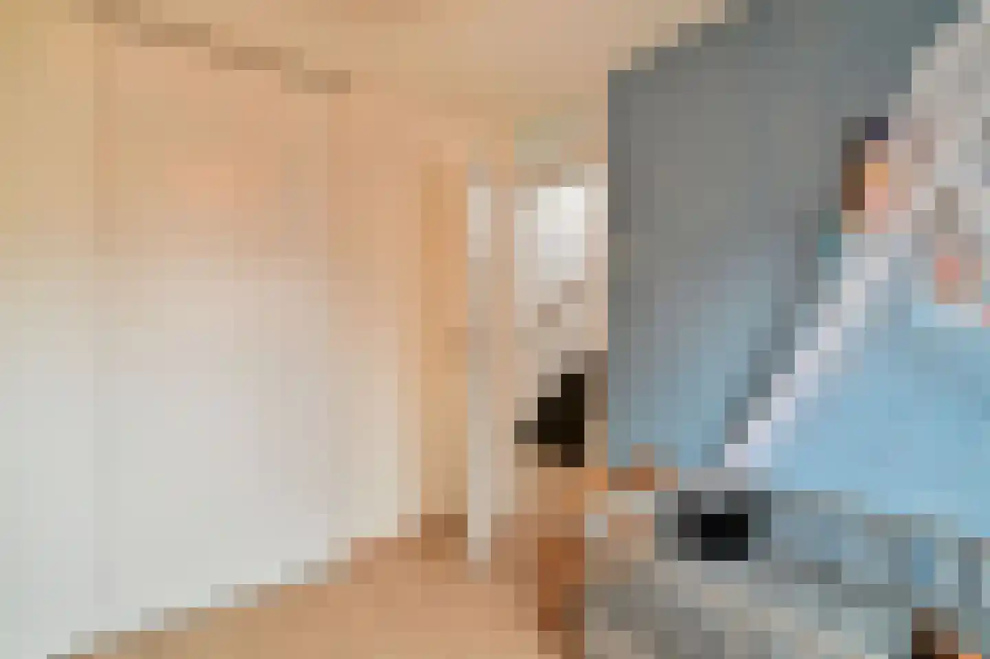 Hondsdraf 6 Zwaag thumbnail 20
