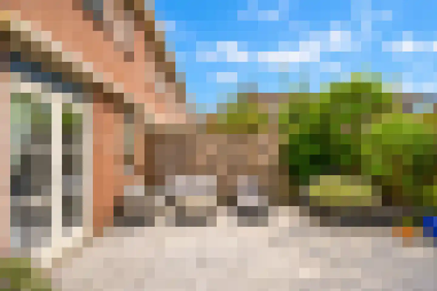 Hondsdraf 6 Zwaag thumbnail 29
