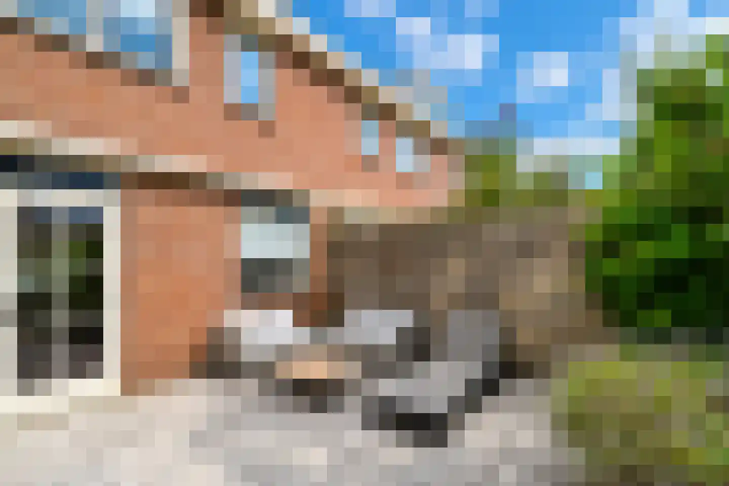 Hondsdraf 6 Zwaag thumbnail 30