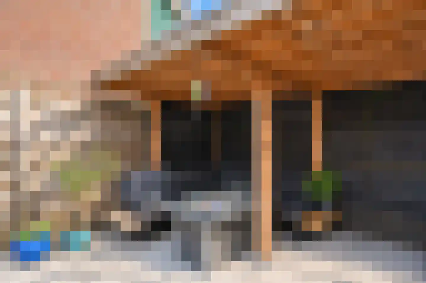 Hondsdraf 6 Zwaag thumbnail 32
