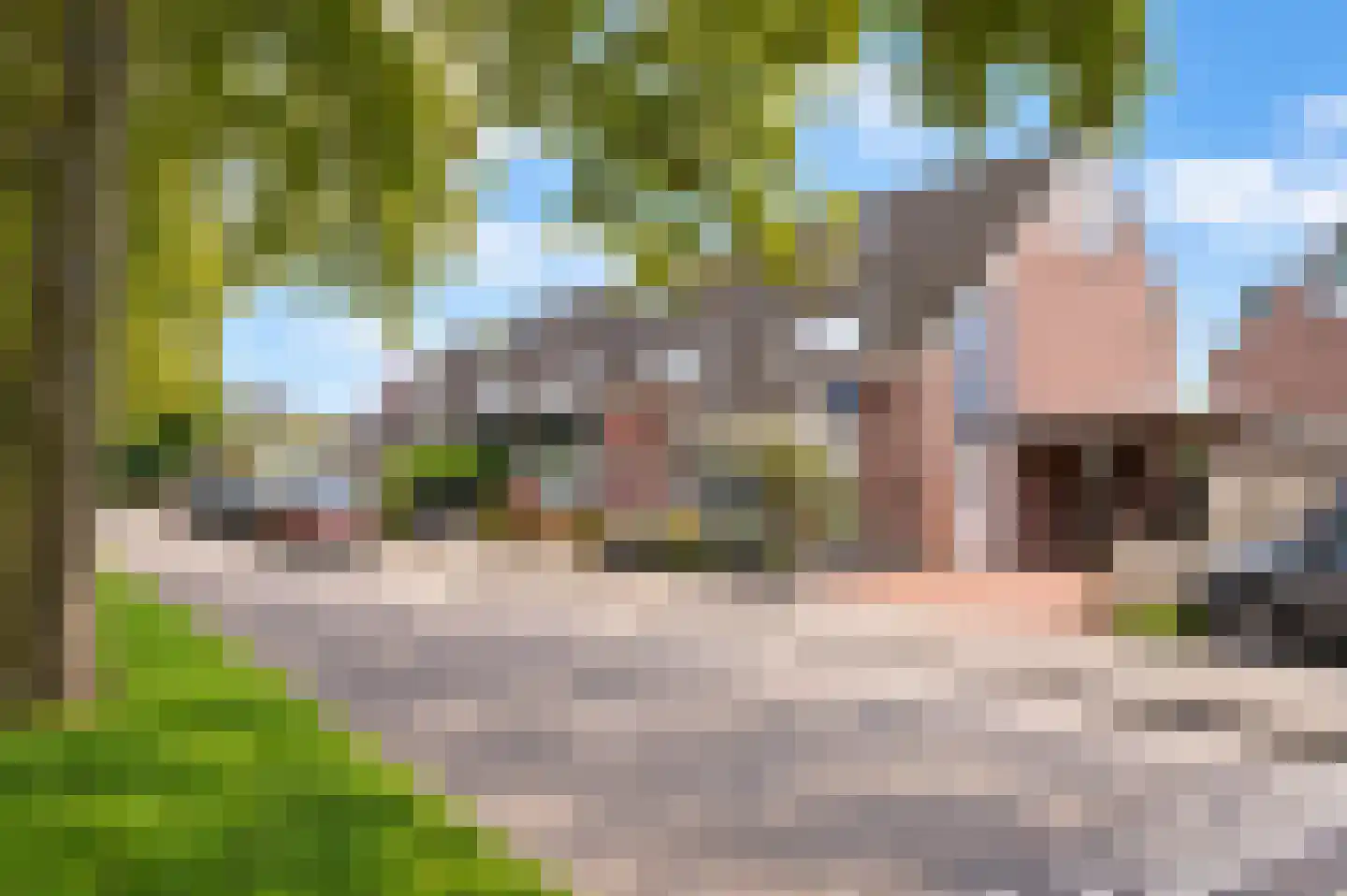 Hondsdraf 6 Zwaag thumbnail 33