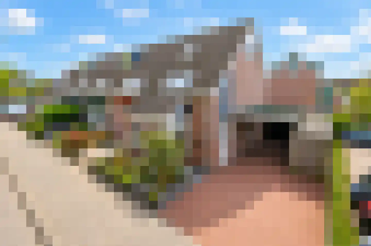 Hondsdraf 6 Zwaag thumbnail 35