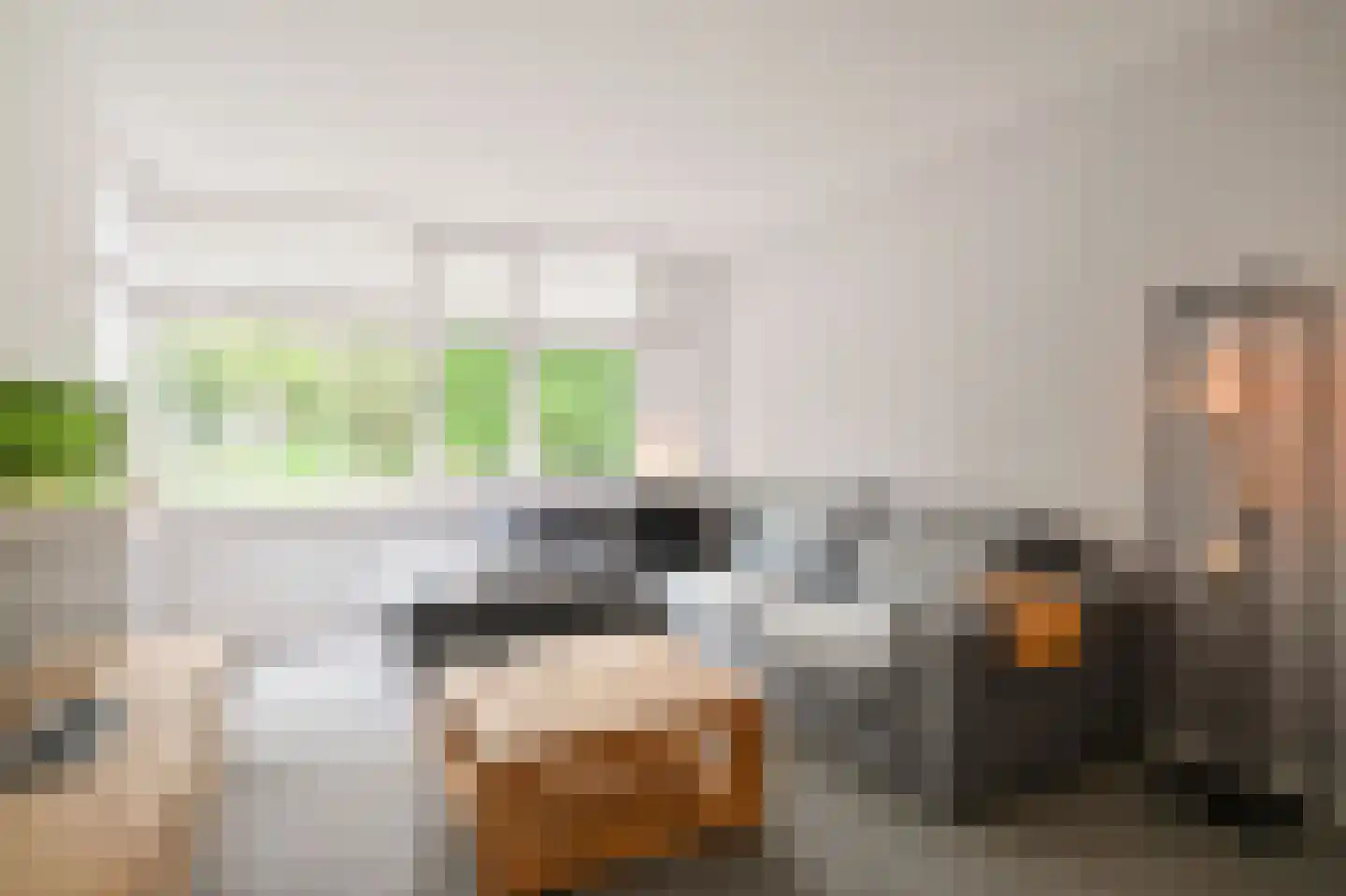 Hondsdraf 6 Zwaag thumbnail 5