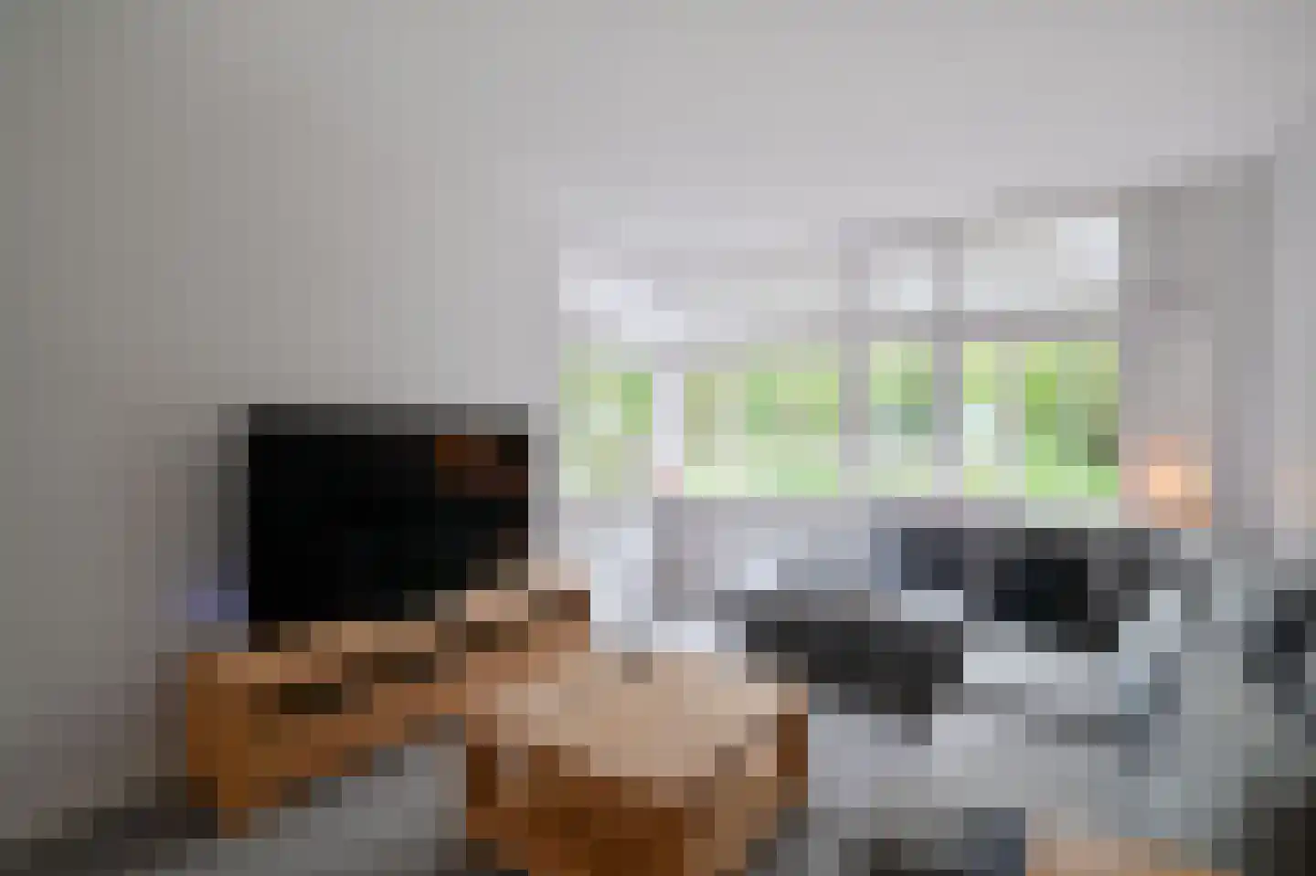 Hondsdraf 6 Zwaag thumbnail 6