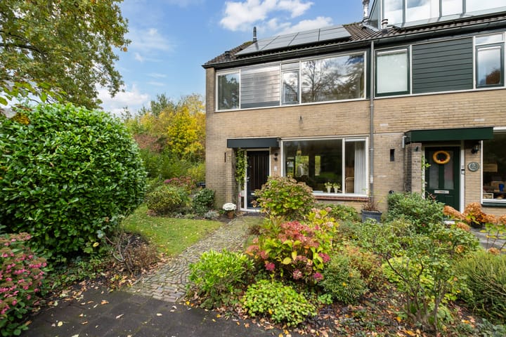 Hondsdraf 7 en Leusden foto