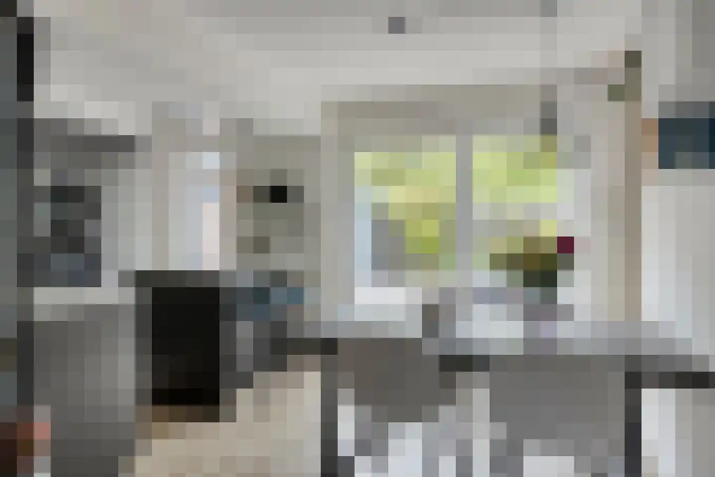 Hondsdraf 7 Deventer thumbnail 11
