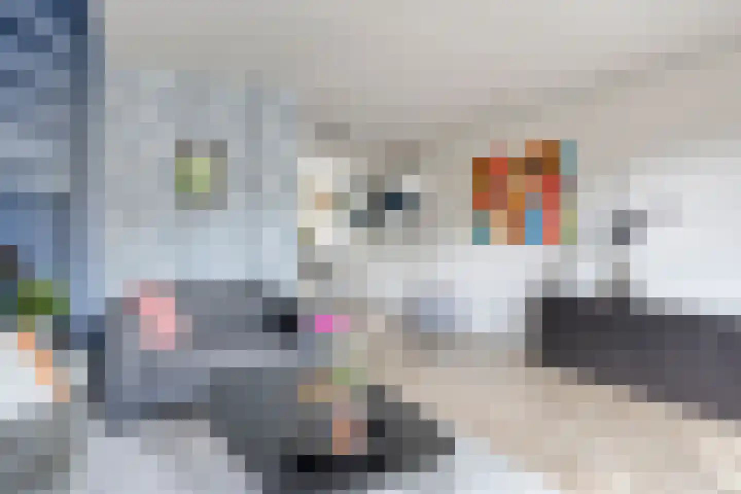 Hondsdraf 7 Deventer thumbnail 12