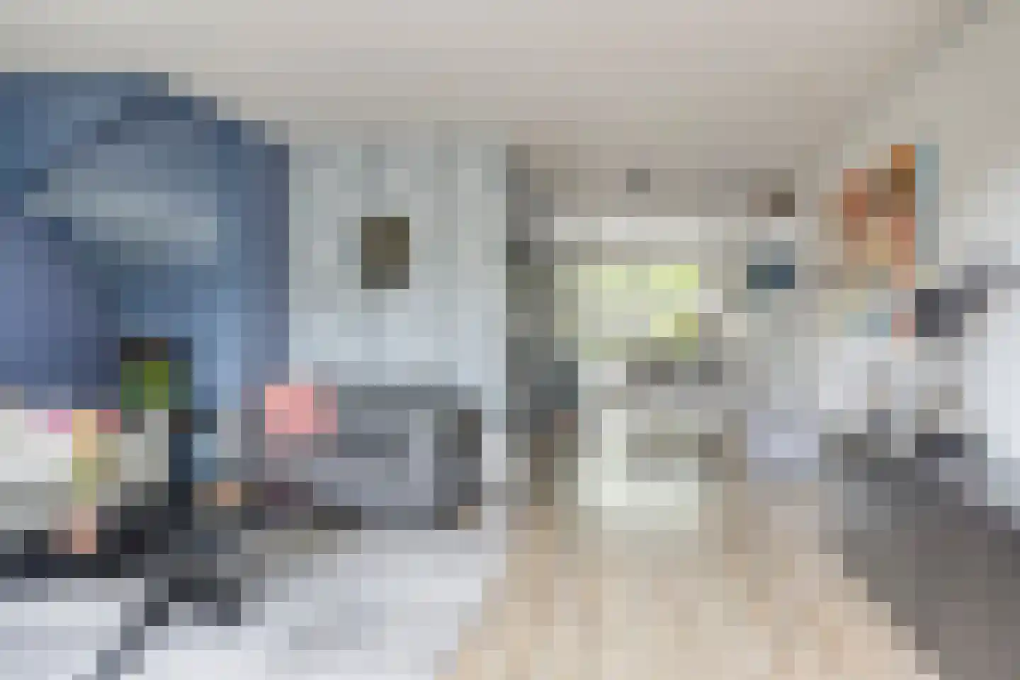 Hondsdraf 7 Deventer thumbnail 14