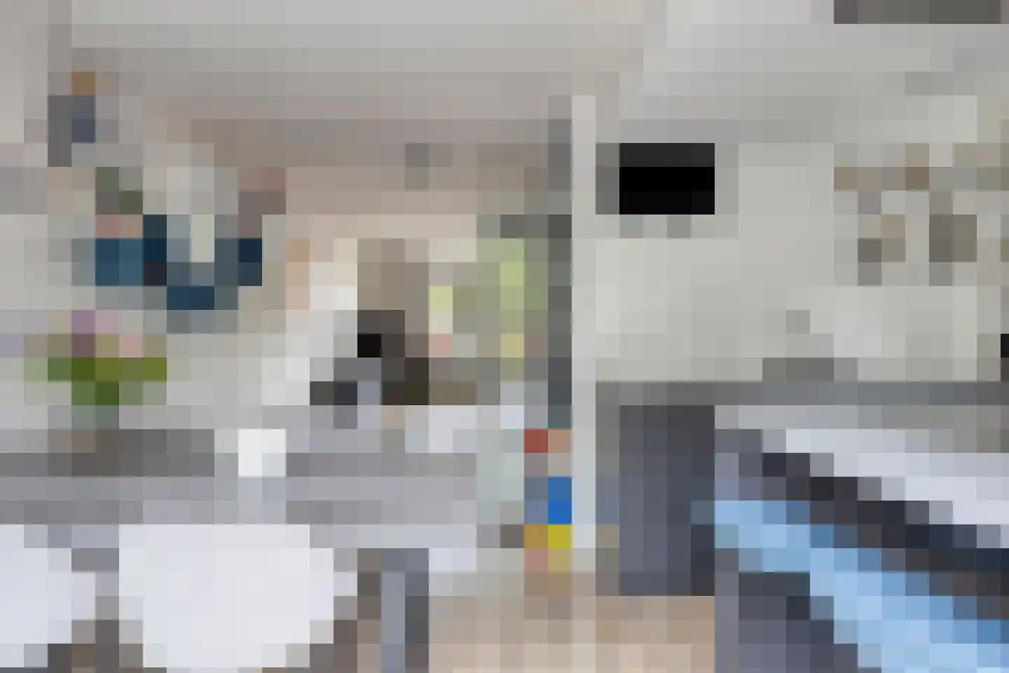 Hondsdraf 7 Deventer thumbnail 17