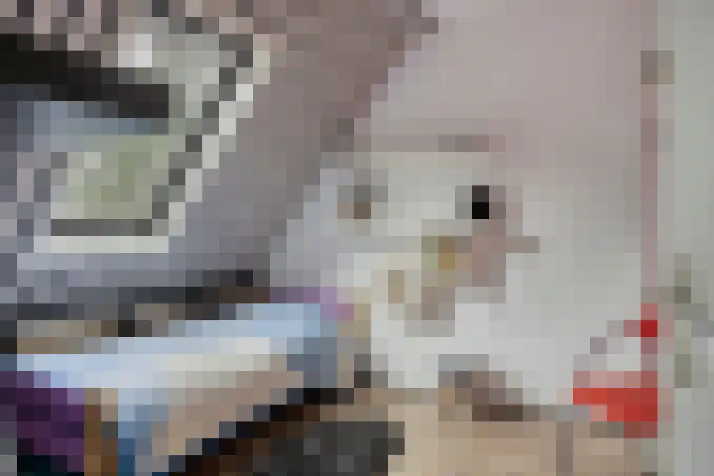 Hondsdraf 7 Deventer thumbnail 23