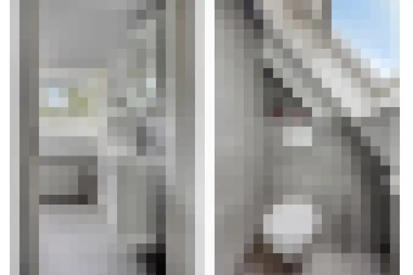Hondsdraf 7 Deventer thumbnail 25