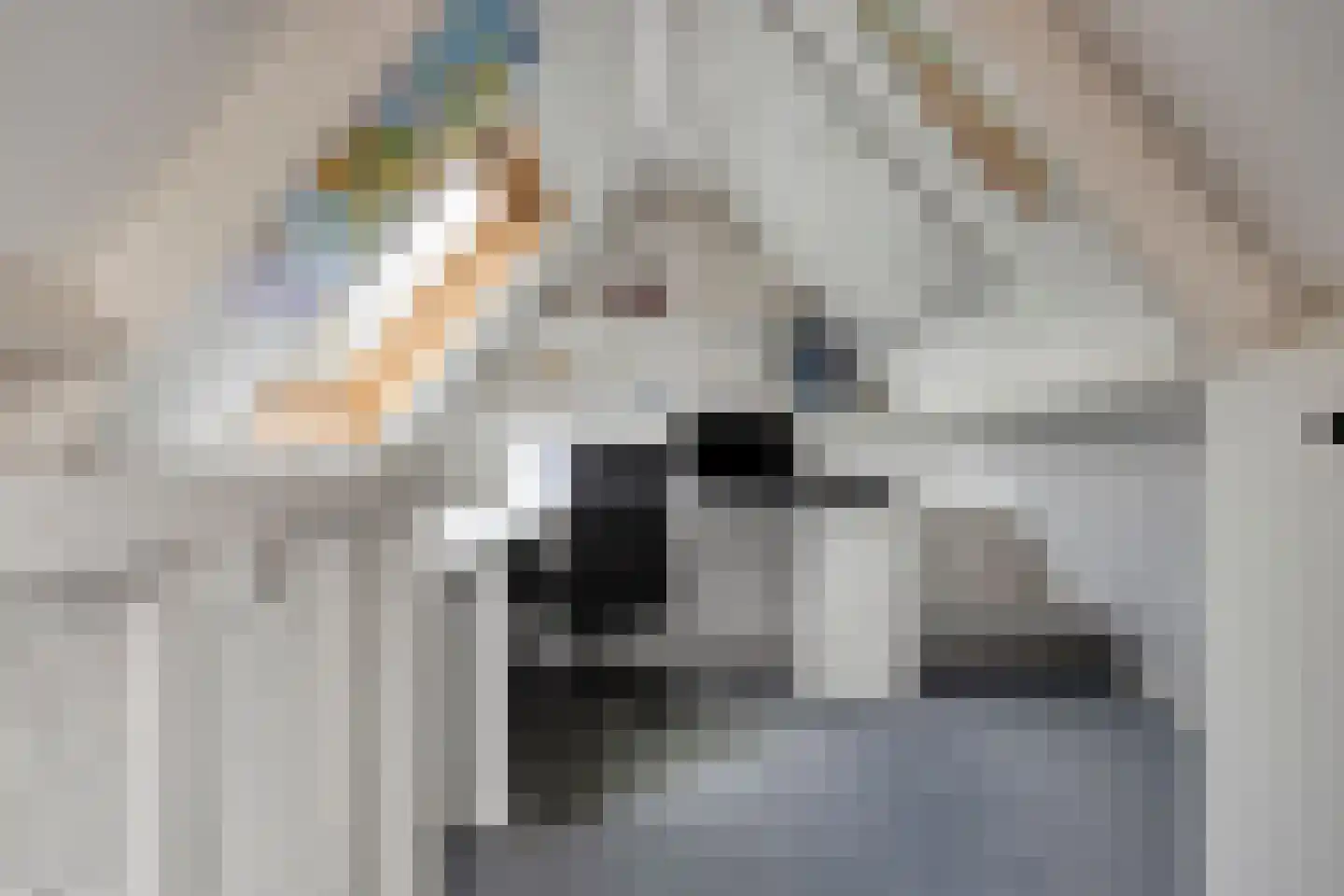 Hondsdraf 7 Deventer thumbnail 27