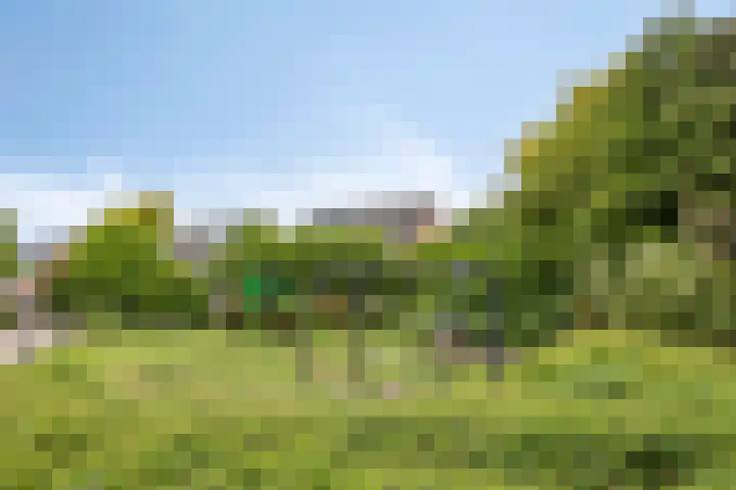 Hondsdraf 7 Deventer thumbnail 35