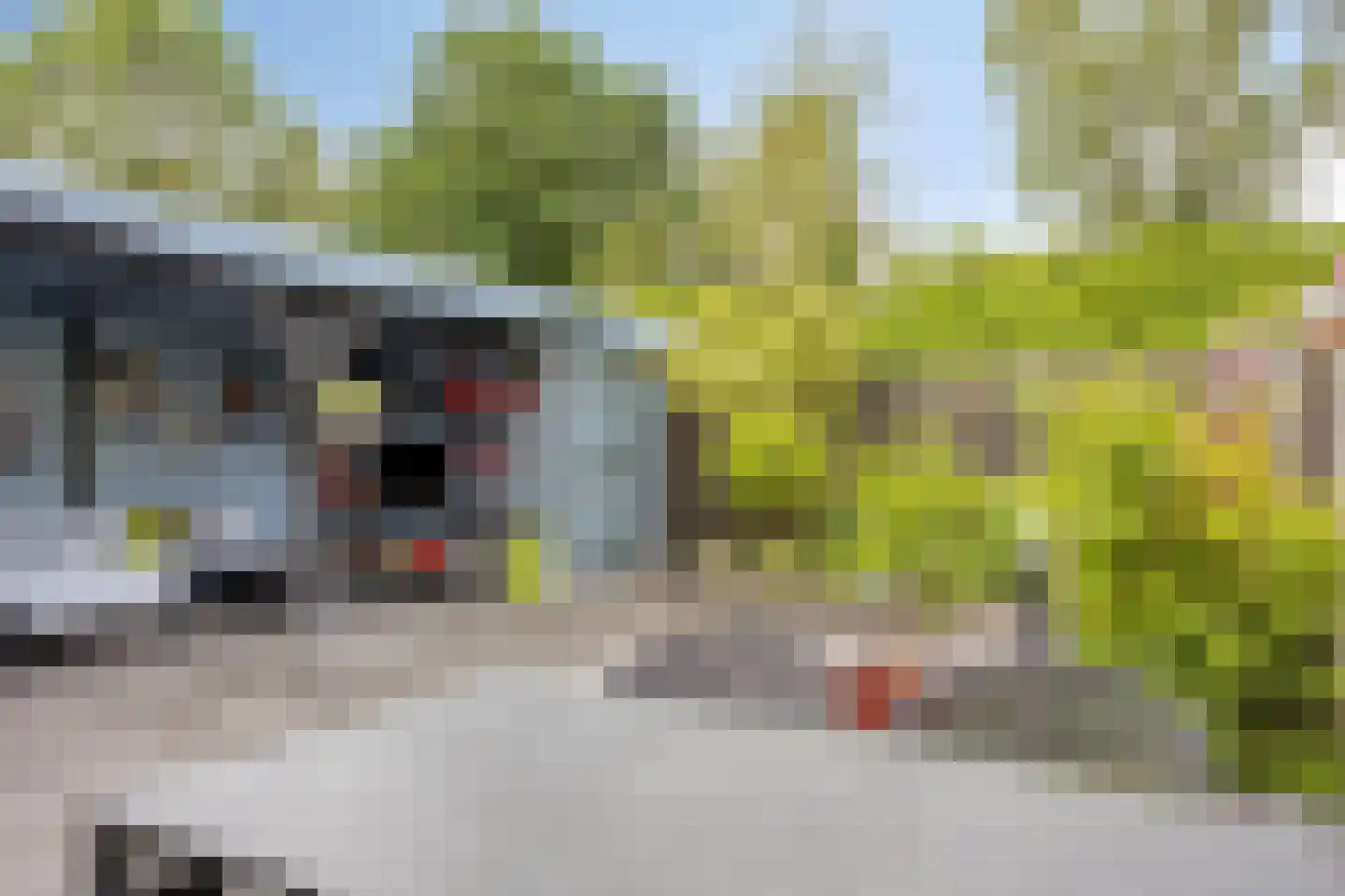 Hondsdraf 7 Deventer thumbnail 4