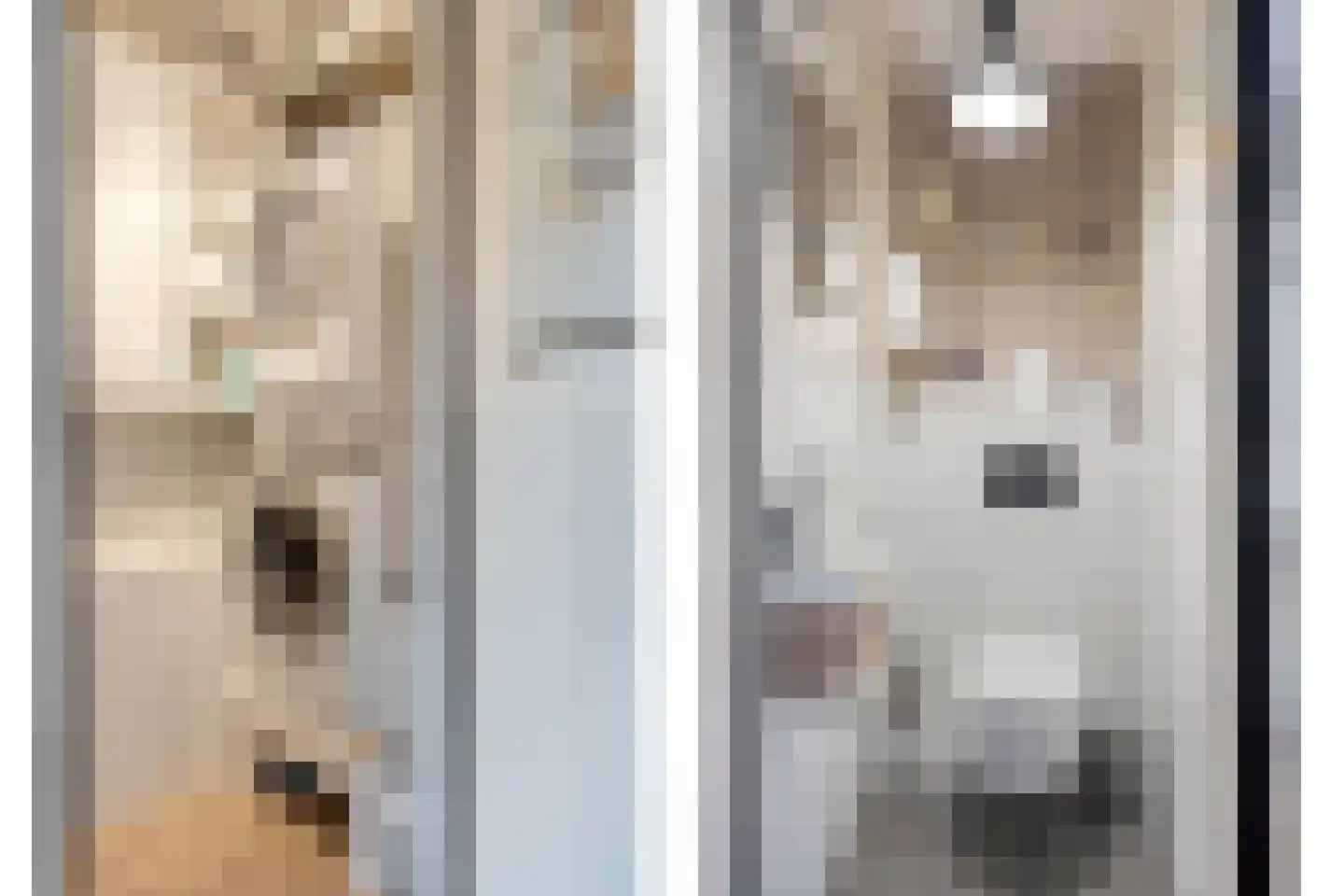 Hondsdraf 7 Deventer thumbnail 9