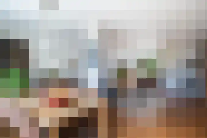Hondsdraf 7 Leusden thumbnail 14