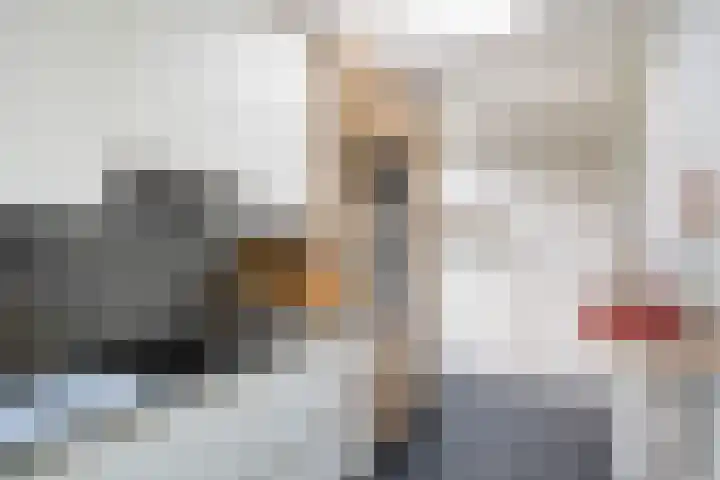 Hondsdraf 7 Leusden thumbnail 18