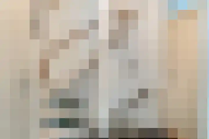 Hondsdraf 7 Leusden thumbnail 20