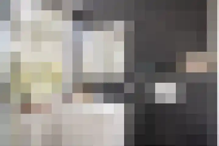 Hondsdraf 7 Leusden thumbnail 27