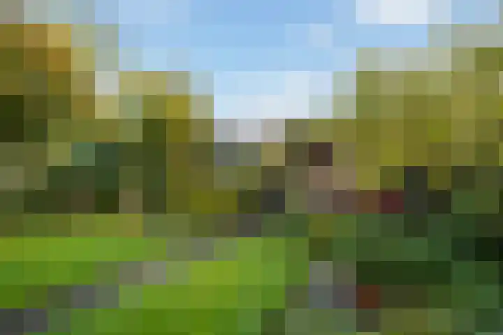 Hondsdraf 7 Leusden thumbnail 32