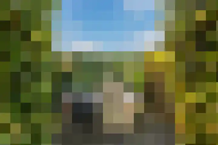 Hondsdraf 7 Leusden thumbnail 33