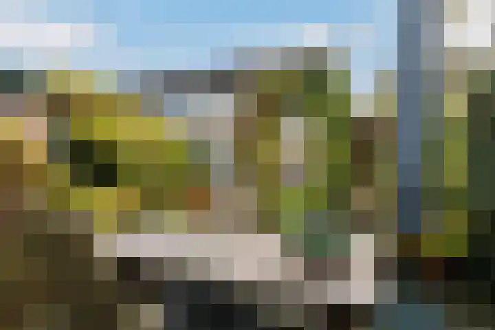 Hondsdraf 7 Leusden thumbnail 34