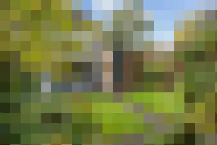 Hondsdraf 7 Leusden thumbnail 35