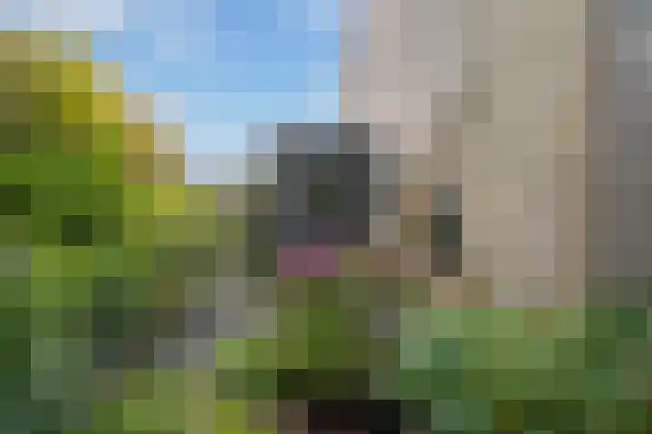 Hondsdraf 7 Leusden thumbnail 36