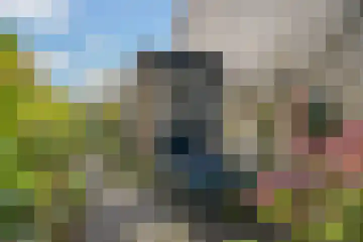 Hondsdraf 7 Leusden thumbnail 37