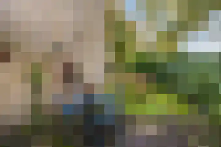 Hondsdraf 7 Leusden thumbnail 38
