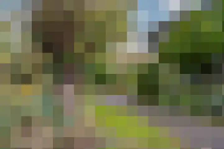 Hondsdraf 7 Leusden thumbnail 39